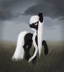 Size: 1280x1428 | Tagged: safe, artist:ajaxorsomething, derpibooru import, oc, oc only, earth pony, pony, black coat, braid, cloud, cloudy, female, grass, long mane, looking back, mare, solo, white hair