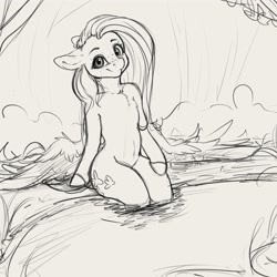 Size: 4000x4000 | Tagged: safe, artist:miokomata, derpibooru import, fluttershy, pegasus, pony, chest fluff, cute, ears, female, floppy ears, freckles, freckleshy, human shoulders, looking at you, mare, monochrome, shyabetes, sketch, solo, water