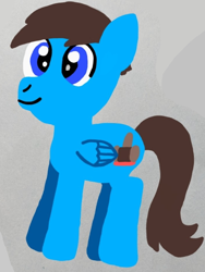 Size: 702x936 | Tagged: safe, artist:nightshadowmlp, derpibooru import, oc, oc only, oc:court case, pegasus, digital art, lineless, male, solo, stallion