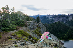 Size: 2300x1534 | Tagged: safe, artist:fluttershyhiker, derpibooru import, fluttershy, pony, clothes, irl, mount rainier, photo, plushie, socks, solo, striped socks, tolmie peak