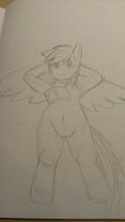 Size: 722x1280 | Tagged: safe, artist:kushina13, derpibooru import, rainbow dash, pegasus, pony, arm behind head, belly button, book, female, lying down, mare, on back, solo, spread wings, traditional art, wings, wip