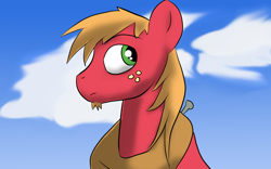 Size: 1440x900 | Tagged: safe, artist:tranzmuteproductions, derpibooru import, big macintosh, earth pony, pony, bust, cloud, freckles, male, outdoors, solo, stallion, yoke