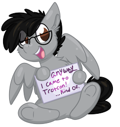 Size: 1996x2108 | Tagged: safe, artist:littleblackraencloud, derpibooru import, oc, oc only, oc:moon ray, pegasus, pony, anyway come to trotcon, glasses, male, pegasus oc, sign, simple background, smiling, solo, transparent background, trotcon, trotcon online, wings