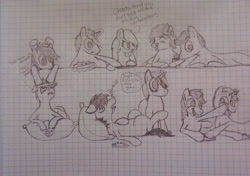 Size: 1280x901 | Tagged: safe, artist:zombietator, derpibooru import, oc, oc only, oc:claire, pegasus, pony, unicorn, female, graph paper, group, horn, lineart, male, mare, pegasus oc, pillow, smiling, stallion, traditional art, unicorn oc, wings