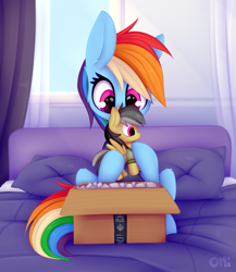 Size: 1215x1398 | Tagged: safe, artist:omi, derpibooru import, daring do, rainbow dash, pegasus, pony, amazon, bed, bedroom, blue coat, box, cardboard box, clothes, ear fluff, ears, female, knee fluff, mare, multicolored mane, multicolored tail, package, pillow, plushie, signature, sitting, solo, spread wings, wings