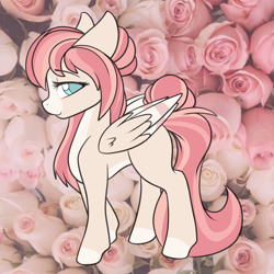 Size: 2000x2000 | Tagged: safe, artist:billysan727, derpibooru import, oc, oc only, oc:naussica rose, pegasus, pony, blue eyes, coat markings, colored pupils, colored wings, colored wingtips, elegant, eyebrows, eyebrows visible through hair, eyelashes, flower, fluffy, folded wings, hair bun, high res, lidded eyes, long tail, looking at you, multicolored mane, multicolored tail, pale belly, pegasus oc, real life background, rose, side view, smiling, smiling at you, socks (coat marking), solo, tail, tail bun, two toned wings, wing fluff, wings