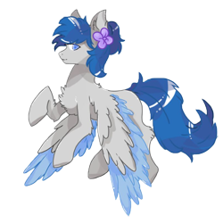 Size: 800x800 | Tagged: safe, artist:lxran4, derpibooru import, oc, oc:zephyrpony, pegasus, pony