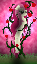 Size: 618x1080 | Tagged: safe, artist:smilodonkahn, derpibooru import, roseluck, earth pony, pony, female, flower, rose, solo, thorns