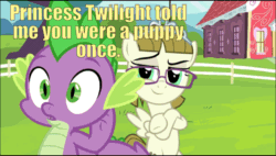 Size: 960x544 | Tagged: safe, edit, edited screencap, editor:undeadponysoldier, screencap, spike, zippoorwhill, pegasus, pony, forever filly, awww, blush sticker, blushing, boyfriend and girlfriend, compliment, crack shipping, cute, daaaaaaaaaaaw, female, filly, glasses, happy, image macro, implied equestria girls, implied spike the dog, implied twilight sparkle, jewelry, male, ponyville, ponyville schoolhouse, shipping, spikabetes, spikoorwhill, straight, talking, tiara, zippoorbetes