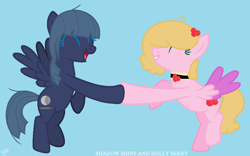 Size: 936x584 | Tagged: safe, artist:yuumirou, derpibooru import, oc, oc only, oc:holly berry, oc:shadow shine, pegasus, pony, female, mare, simple background