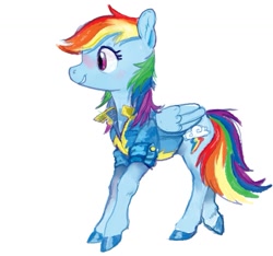 Size: 915x855 | Tagged: safe, artist:spectralunicorn, derpibooru import, rainbow dash, pegasus, pony, clothes, colored hooves, female, jacket, mare, simple background, solo, white background, wonderbolts, wonderbolts jacket