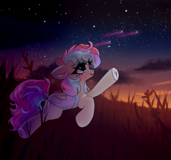 Size: 3000x2800 | Tagged: safe, artist:sunnlich, derpibooru import, oc, oc only, oc:dreamyway skies, bat pony, pony, bat pony oc, female, field, flank, grass, looking up, mare, scenery, solo, starry night, sunset, tricolor mane