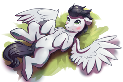 Size: 2662x1789 | Tagged: safe, artist:kam, derpibooru import, soarin', pegasus, pony, belly fluff, blushing, chest fluff, ears, floppy ears, hooves, looking up, lying down, on back, simple background, spread wings, tail, underhoof, wings