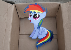 Size: 300x214 | Tagged: safe, derpibooru import, rainbow dash, pegasus, pony, fanfic:my little dashie, 2011, box, cardboard box, cute, female, filly, irl, mare, photo, ponies in real life, pony in a box, solo, vector