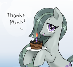 Size: 1138x1043 | Tagged: safe, artist:marbo, marble pie, earth pony, pony, birthday cake, candle, dialogue, female, looking at you, mare, open mouth, open smile, smiling, solo, thank you