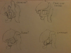 Size: 2048x1536 | Tagged: safe, artist:zombietator, derpibooru import, oc, oc only, oc:claire, earth pony, pony, bust, earth pony oc, expressions, lineart, traditional art