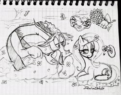 Size: 2048x1603 | Tagged: safe, artist:naquelinedelch2, derpibooru import, discord, fluttershy, butterfly, draconequus, pony, bush, discoshy, eyelashes, female, floating, flower, flower in hair, grayscale, heart, lined paper, male, monochrome, paper, shipping, signature, spanish description, straight, sun, traditional art