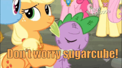 Size: 960x539 | Tagged: safe, edit, edited screencap, editor:undeadponysoldier, screencap, applejack, fluttershy, pinkie pie, rainbow dash, spike, dragon, earth pony, pegasus, pony, princess twilight sparkle (episode), shadow play, animated, best friends, best friends until the end of time, comforting, cute, daaaaaaaaaaaw, freckles, gif, hub logo, hug, hurt, injured, justice, sad, spike justice warriors, spikelove, sugarcube, this will end with happiness, true friends
