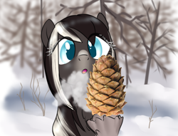 Size: 896x683 | Tagged: safe, artist:anonymous, oc, oc only, oc:pine ponder, pony, /mlp/, breath, cute, female, food, forest, hoof hold, looking at something, mare, open mouth, pinecone, raised hoof, raised leg, showing, snow, snowpony (species), solo, taiga pony, unshorn fetlocks, visible breath, yakutian horse