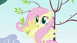 Size: 1920x1080 | Tagged: safe, derpibooru import, screencap, fluttershy, bird, pegasus, pony, friendship is magic, female, mare, open mouth, outdoors, raised hoof, raised leg, smiling, solo, songbird, tree