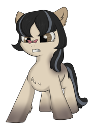 Size: 1948x2696 | Tagged: safe, artist:anonymous, artist:dumbwoofer, oc, oc only, oc:cold shoulder, butterfly, insect, pony, /mlp/, butterfly on nose, chest fluff, coat markings, cross-eyed, cute, ear fluff, ears, female, fluffy, gritted teeth, insect on nose, looking at something, mare, simple background, snowpony (species), socks (coat marking), solo, taiga pony, transparent background, yakutian horse
