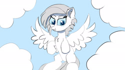 Size: 1920x1080 | Tagged: safe, artist:bw-jack, derpibooru import, oc, oc only, pegasus, blue eyes, chest fluff, cloud, ear fluff, ears, female, mare, solo, white fur