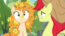 Size: 640x360 | Tagged: safe, derpibooru import, screencap, bright mac, pear butter, earth pony, pony, the perfect pear, animated, cute, daaaaaaaaaaaw, flower, flower in hair, gif, gifs.com, laughing, pearabetes