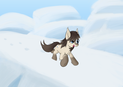 Size: 4960x3508 | Tagged: safe, artist:wapamario63, oc, oc only, oc:frosty flakes, pony, /mlp/, blaze (coat marking), chest fluff, coat markings, cute, ear fluff, ears, female, fluffy, ice, mare, snow, snowpony (species), socks (coat marking), solo, taiga pony