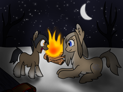 Size: 1600x1200 | Tagged: safe, artist:machacapigeon, oc, oc:blizzard hearth, oc:permafrost, earth pony, pony, /mlp/, brother and sister, female, fireplace, foal, male, mare, moon, siblings, snow, snow mare, snowpony (species), stars, taiga pony, wood, yakutian horse