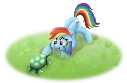 Size: 2188x1431 | Tagged: safe, artist:pony-thunder, derpibooru import, rainbow dash, tank, pegasus, pony, tortoise, cute, dashabetes, ears, face down ass up, floppy ears, grass, looking at each other, open mouth, open smile, simple background, smiling, transparent background