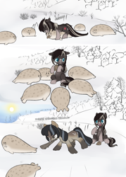 Size: 1080x1512 | Tagged: safe, artist:anonymous, oc, oc only, oc:cold shoulder, oc:pine ponder, pony, seal, adorable distress, chest fluff, club, coat markings, crying, female, fluffy, forest, growling, mare, pale belly, pinecone, snow, snowmare, snowpony (species), socks (coat marking), sun, surrounded, taiga pony, tree, yakutian horse