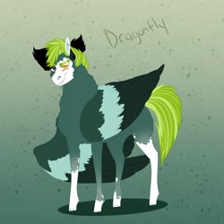 Size: 2000x2000 | Tagged: safe, artist:inisealga, derpibooru import, oc, oc only, oc:dragonfly, coat markings, magical lesbian spawn, male, offspring, parent:fluttershy, parent:lightning dust, parents:flutterdust (pairing), stallion