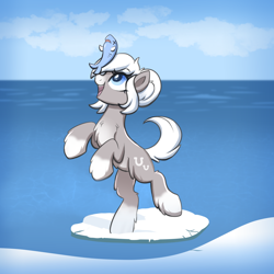 Size: 4000x4000 | Tagged: safe, artist:confetticakez, oc, oc only, oc:snow shoes, fish, pony, /mlp/, balancing on nose, bipedal, chest fluff, cloud, coat markings, cute, female, fluffy, happy, ice, looking at something, mare, ocbetes, ocean, pale belly, sea, snow, snow mare, snowpony (species), socks (coat marking), solo, taiga pony, yakutian horse