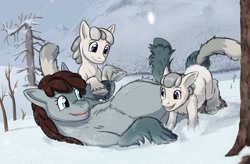 Size: 1620x1065 | Tagged: safe, alternate version, artist:a0iisa, pony, /mlp/, chest fluff, coat markings, cute, female, filly, fluffy, looking at each other, mother and child, mother and daughter, on back, parent and child, playing, pregnant, siblings, snow, snowpony (species), socks (coat marking), taiga pony, twins, unshorn fetlocks, wip