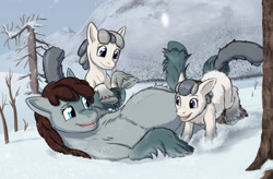 Size: 1620x1065 | Tagged: safe, alternate version, artist:a0iisa, pony, /mlp/, chest fluff, coat markings, cute, female, filly, fluffy, looking at each other, mother and child, mother and daughter, on back, parent and child, playing, pregnant, siblings, snow, snowpony (species), socks (coat marking), taiga pony, twins, unshorn fetlocks, wip
