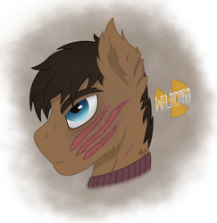 Size: 1040x1070 | Tagged: safe, artist:lonewriter, derpibooru import, oc, oc:wildcard, earth pony, pony, fallout equestria, bust, crossover, fallout equestria: all roads lead home, metro, metro 2033, portrait, roadside picnic, s.t.a.l.k.e.r., scar, simple background, stalker, tired