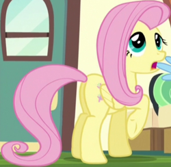 Size: 576x563 | Tagged: safe, derpibooru import, screencap, fluttershy, pegasus, pony, buckball season, season 6, butt, cropped, flutterbutt, plot, raised hoof, raised leg