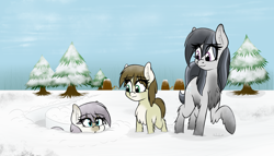 Size: 2728x1565 | Tagged: safe, artist:seafooddinner, oc, oc only, oc:meadow frost, oc:snow flurry, oc:snowfall, oc:snowflurry, oc:tundra tracker, earth pony, pony, /mlp/, amused, blaze (coat marking), chest fluff, coat markings, cute, deep snow, ear fluff, ears, female, filly, fluffy, forest, looking at something, mare, ooo, pale belly, smiling, snow, snow mare, snowpony (species), socks (coat marking), spruce, taiga pony, tree, trio, village, yakutian horse