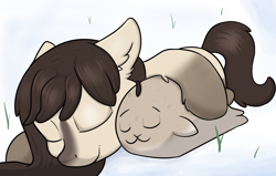 Size: 2600x1655 | Tagged: safe, artist:anonymous, artist:dumbwoofer, oc, oc only, oc:frosty flakes, pony, seal, /mlp/, cuddling, cute, duo, ear fluff, ears, eyes closed, female, fluffy, hug, mare, prone, sleeping, snow, snow mare, snowpony (species), taiga pony, yakutian horse
