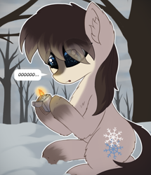 Size: 1811x2105 | Tagged: safe, artist:anonymous, oc, oc only, oc:frosty flakes, pony, /mlp/, blaze (coat marking), chest fluff, coat markings, ear fluff, ears, female, fluffy, forest, lighter, looking at something, mare, ooo, sitting, snow, snow mare, snowpony (species), socks (coat marking), solo, taiga pony, tree, yakutian horse