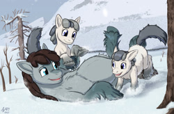 Size: 1825x1200 | Tagged: safe, alternate version, artist:a0iisa, artist:anonymous, oc, oc only, oc:bright snow, oc:firn gully, oc:shiny snow, pony, /mlp/, chest fluff, coat markings, cute, female, filly, fluffy, foal, identical twins, looking at each other, mare, mother and child, mother and daughter, mountain, on back, parent and child, playing, pregnant, siblings, signature, sisters, snow, snow mare, snowpony (species), socks (coat marking), taiga pony, tree, twin sisters, twins, unshorn fetlocks, yakutian horse