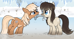 Size: 746x392 | Tagged: safe, artist:anonymous, oc, oc only, oc:frosty flakes, oc:salmon run, fish, pony, /mlp/, belly fluff, blaze (coat marking), blue eyes, butt, butt fluff, chest fluff, coat markings, cute, duo, female, females only, fishing, fluffy, forest, hoof fluff, leg fluff, looking at each other, mare, mouth hold, pale belly, plant, plot, ponies eating fish, ponies eating meat, river, shrub, snow, snow mare, snowpony (species), socks (coat marking), taiga pony, tree, water, wet, yakutian horse