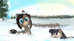 Size: 1920x1080 | Tagged: safe, artist:davierocket, oc, oc only, oc:cold shoulder, oc:pine ponder, pony, cloud, cute, deep snow, duo, female, forest, looking at you, mare, plant, shrub, snow, snow mare, snowpony (species), taiga pony, tree, yakutian horse