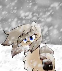 Size: 1300x1500 | Tagged: safe, artist:machacapigeon, oc, oc only, oc:blizzard hearth, earth pony, pony, /mlp/, bag, blizzard, coat markings, ear fluff, ears, female, mare, pale belly, saddle bag, snow, snow mare, snowpony (species), solo, taiga pony, yakutian horse