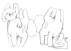 Size: 1316x944 | Tagged: safe, artist:groundcoffeemug, derpibooru import, oc, oc only, earth pony, pony, extra legs, monochrome, sketch, solo, underhoof, upside down, wat