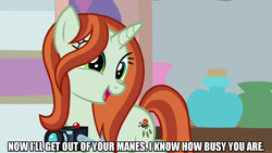 Size: 1280x720 | Tagged: safe, derpibooru import, edit, edited screencap, editor:jaredking203, screencap, crackle cosette, queen chrysalis, pony, unicorn, season 8, spoiler:s08, caption, disguise, disguised changeling, female, image macro, mare, meme, solo, text