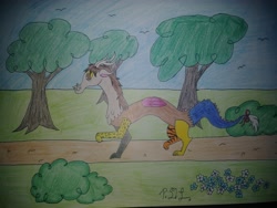 Size: 4160x3120 | Tagged: safe, artist:diamond06mlp, derpibooru import, oc, oc only, draconequus, atg 2018, draconequus oc, male, newbie artist training grounds, outdoors, signature, solo, traditional art, tree