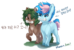 Size: 1500x1011 | Tagged: safe, artist:maren, derpibooru import, oc, oc only, oc:blue chewings, earth pony, blank flank, mouth hold