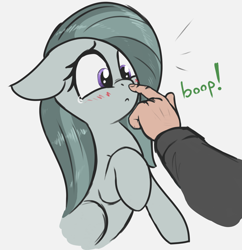 Size: 2270x2345 | Tagged: safe, artist:t72b, derpibooru import, marble pie, earth pony, human, pony, adorable distress, blushing, boop, bust, cross-eyed, cute, disembodied hand, ears, female, floppy ears, gray background, hand, high res, looking at something, marblebetes, mare, offscreen character, offscreen human, raised hoof, raised leg, simple background, teary eyes, three quarter view, white background