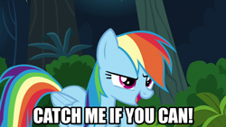 Size: 1280x720 | Tagged: safe, derpibooru import, edit, edited screencap, editor:jaredking203, screencap, rainbow dash, pegasus, pony, season 6, stranger than fan fiction, caption, female, image macro, mare, meme, text